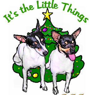 Cartão De Festividades Toy Fox Terrier presentes de Natal