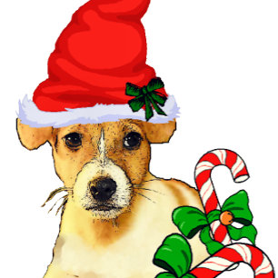 Cartão De Festividades Cute Jack Russell Terrier Natal