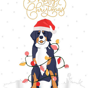 Ornamento De Cerâmica Irmão Urso LGBT Natal Rainbow Pride Gay Lesb