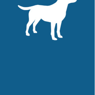 Convite Laboratório de Chá de fraldas de Cachorro Azul