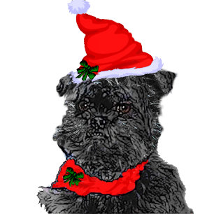 Cartões de Natal Affenpinscher Personalizados