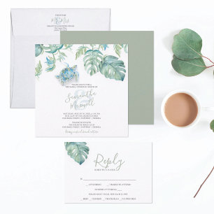 Janto de ensaio de cor das águas da tartaruga do m