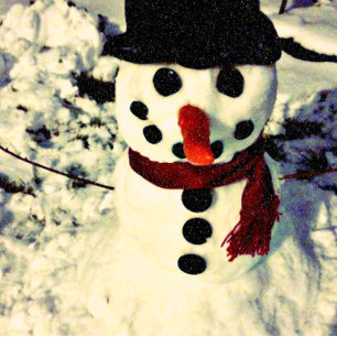 Cartão De Festividades Placa de Feriado Winterscape Lights & Meteors do n