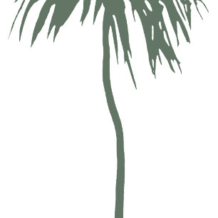 Cartão de Palma de Natal do Havaí Mele Kalikimaka