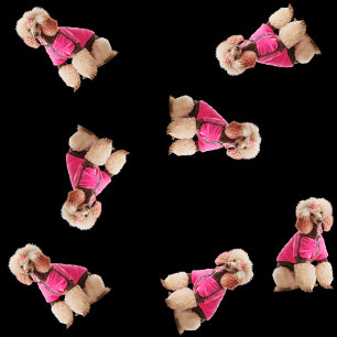 Papel De Presente Oodles De Poodles (Rosa em Preto)