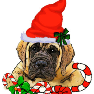 Cartão De Festividades Cute English Mastiff Puppy Christmas