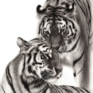 Tapete De Parede Touch - Trabalho de arte de Tigre Original Pintado