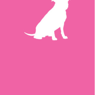 Convite Pit Bull Dog Chá de fraldas Pink Girl Pitbull