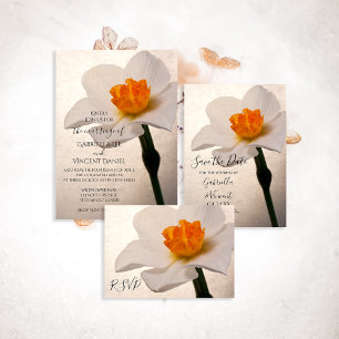 Resposta RSVP de Casamento de Daffodil Primavera B