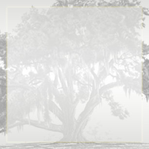 Convite Casamento de Oak Silver Mossy, Cinza Amarela