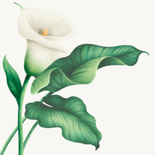 Convite Elegante Watercolor Lilly Chá de fraldas