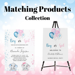 Flyer Gênero revela convite de orçamento azul-rosa do pa