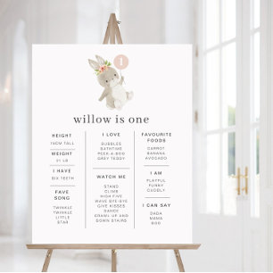 Bolny Primeiro Aniversário Convite Rosa Balão