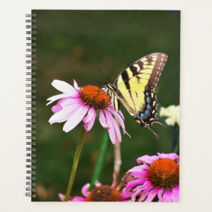 Swallowtail do Tigre do Planejador Lg no Coneflowe