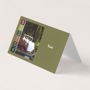 Swan Boats no Verão - Boston