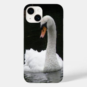 Swan branco