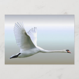 Swan Branco no Voo do Cheio