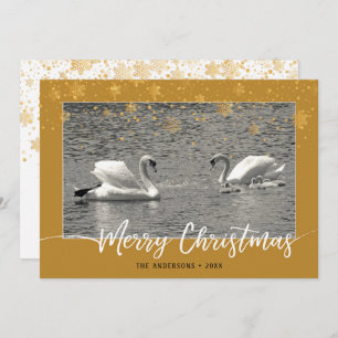 Swan Family Felry Christmas Flat Card