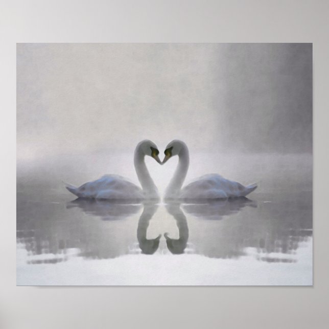 Swans in Love ~ Poster (Frente)
