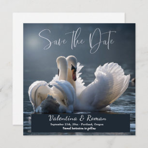 Swans Salvar o Anúncio de Data