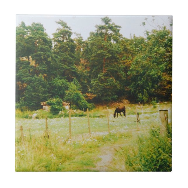 Swedish Countryside (Frente)