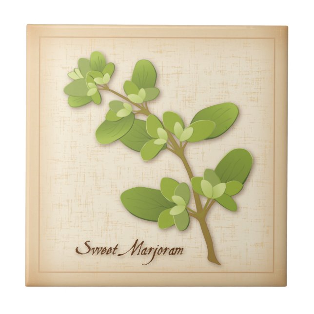 Sweet Marjoram Herb (Frente)