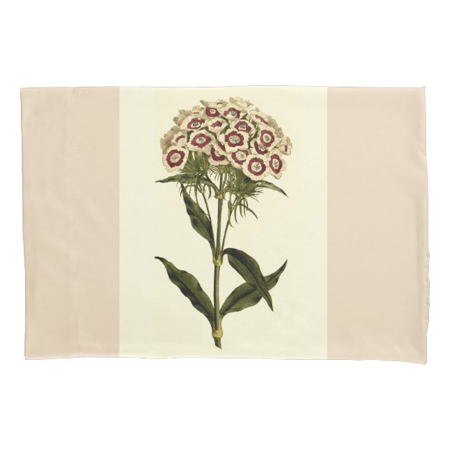 Sweet William Floral Art Set Pillowcases (Frente-Esquerda)
