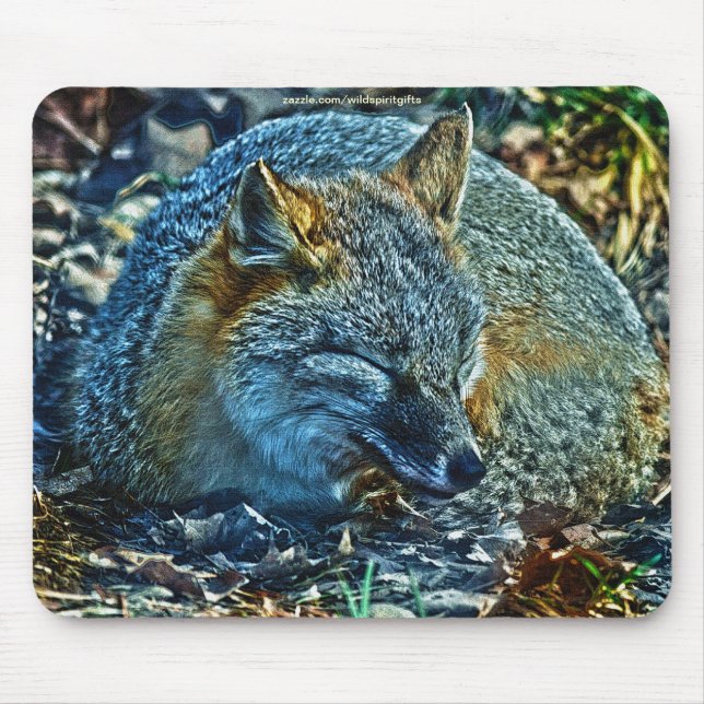 Swift Fox Asleep em Salvas Selvagens Mousepad (Frente)