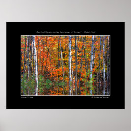Swinger de Birches Poster