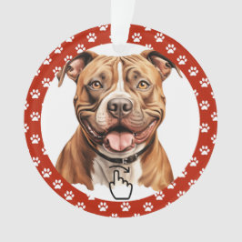 SWIPE DIREITO - Consulte Anterior ... Ornamento