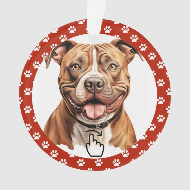 SWIPE DIREITO - Consulte Anterior ... Ornamento (Frente)