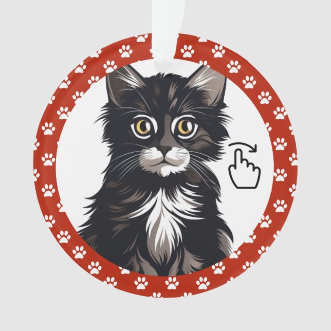 SWIPE DIREITO - Consulte Anterior ... Ornamento (Frente)