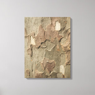 Sycamore Latido Stretch Canvas Art