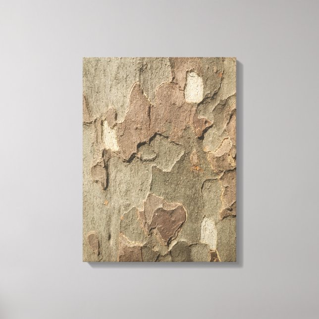 Sycamore Latido Stretch Canvas Art (Frente)