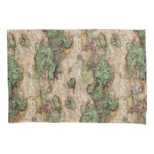 Sycamore Tree Latido Moss Lichen
