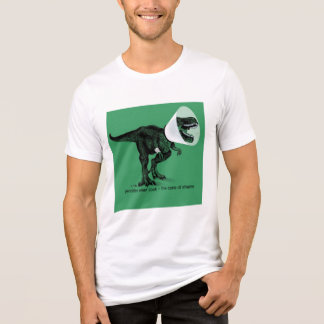 T Rex Cone of Shame    Jennifer ellen Cook