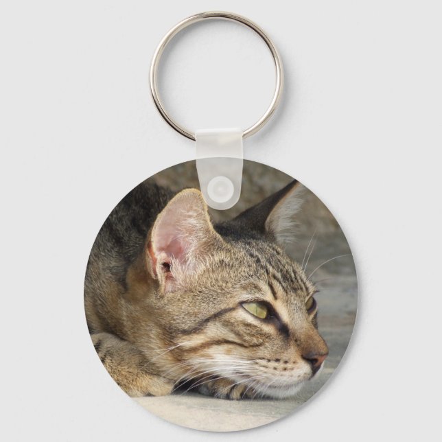 Tabby Cat Chaveiro (Frente)