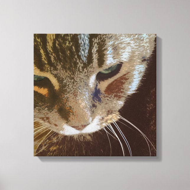 Tabby Cat Close Up Canvas (Frente)