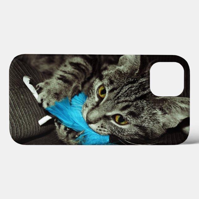 Tabby Cat com pena de Shirley Taylor (Verso (horizontal))