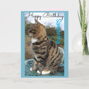 Tabby Cat Cute Strike Cats - Cartão de Aniversário