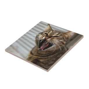 Tabby Cat Yawning Retrato Artístico