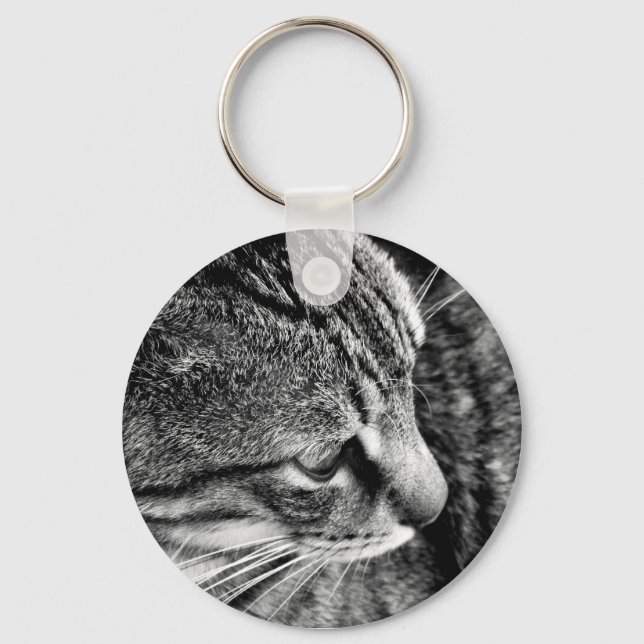 Tabby Fotografia Chaveiro (Frente)