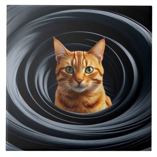 Tabby Gyre Azulejo Decorativo (Frente)