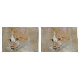 Tabby Kitten com margarida branca