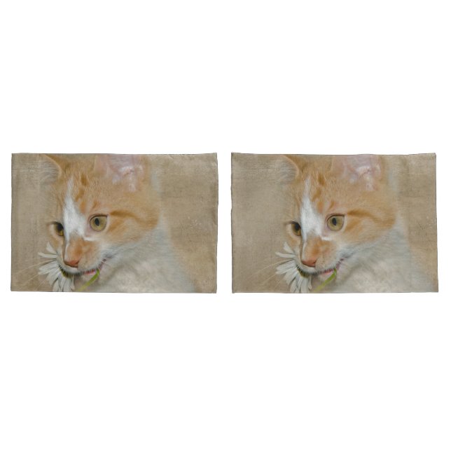 Tabby Kitten com margarida branca (Verso - conjunto)