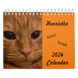 Tabby Laranja Cat 2024 Calendário com palavras POL
