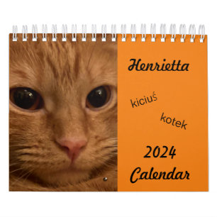 Tabby Laranja Cat 2024 Calendário com palavras POL