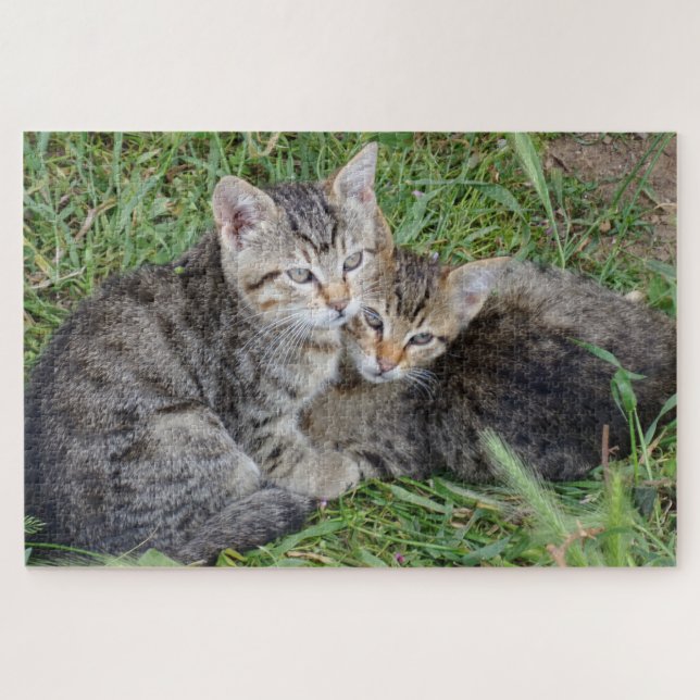 Tabby Sisters Jigsee Quebra-cabeça (Horizontal)