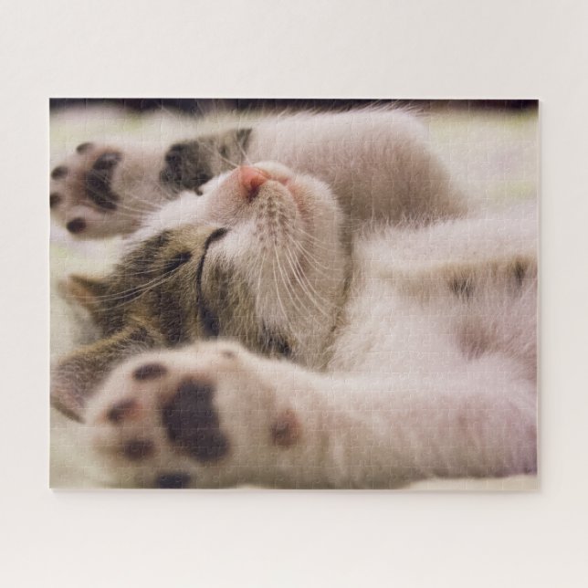 Tabby Striped Kitten Jigsee Quebra-cabeça (Horizontal)