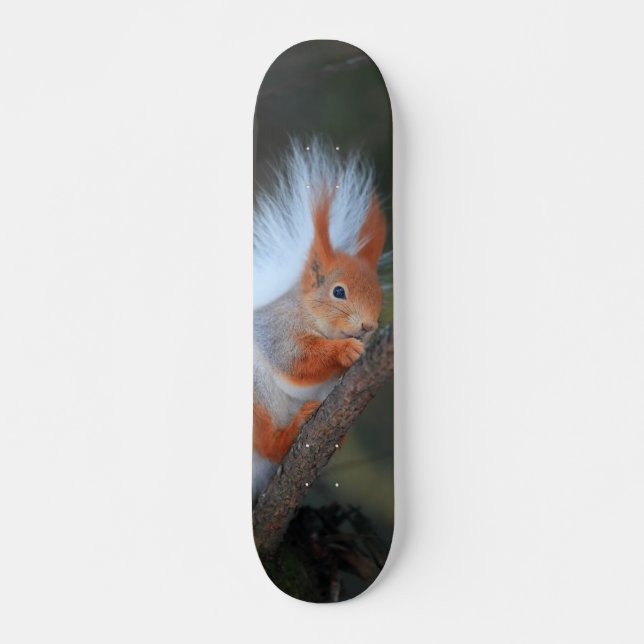 Tabla de Skate Ardilla en un Árbol (Frente)
